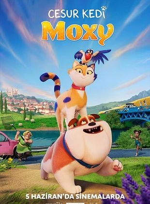 Cesur Kedi Moxy