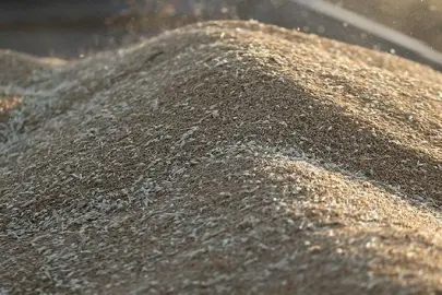 Hububat üretiminde bu yıl tarihin en yüksek üretim miktarına ulaşılması bekleniyor