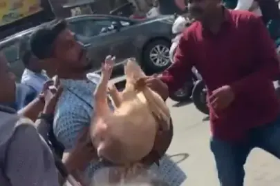 Kurban Bayramı pazarında çirkin provokasyon: Müslümanların alanına domuz getirdiler