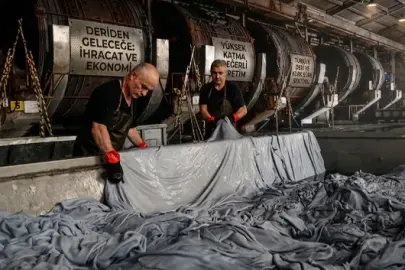 Kurban derisinden ekonomiye 800 milyon dolarlık katkı