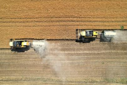 Adıyaman'da etkili olan yağışlar hububat rekoltesini yükseltti