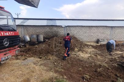 Adıyaman'da örtü ve anız yangınları; 1500 hektar alan zarar gördü