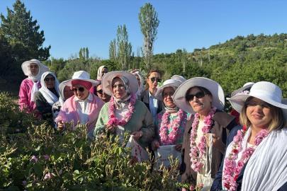 AK Parti Kadın Kolları Başkanı Ercan, Isparta'da Gül hasadına katıldı Açıklaması