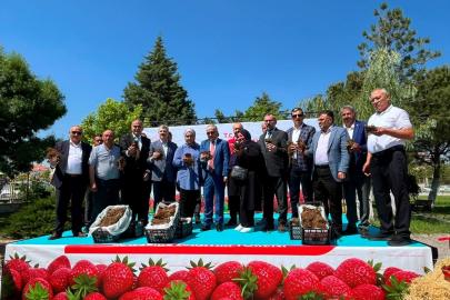 Aksaray'da üreticilere çilek fidesi dağıtıldı