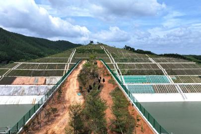Albüm: Çin'in Guangxi Bölgesindeki Ekolojik Köprü, Yaban Hayvanları İçin Doğal Geçit İşlevi Görüyor