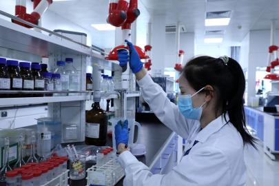Albüm: Çin'in Handan Kenti Teknoloji Odaklı Büyüme ile İnovasyon Ekosistemini Genişletiyor