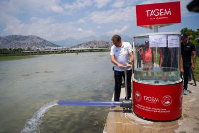 Antalya'da nesli tükenme tehlikesindeki endemik balıklar üretildi