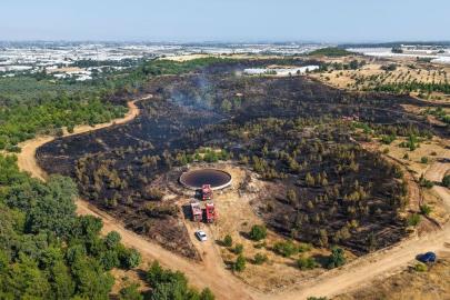 Antalya'da orman yangını