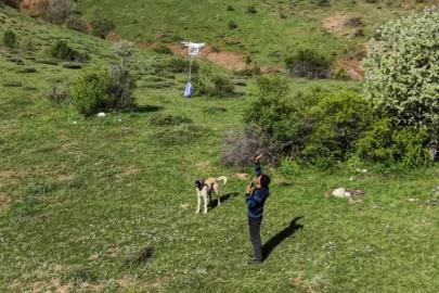 Arazideki çobanlara dronla 'şeker' gönderdiler