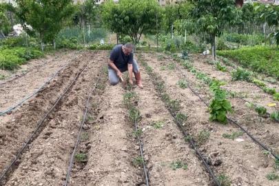 Artvin'de eğitimciler hobi bahçelerini üretim alanına dönüştürdü
