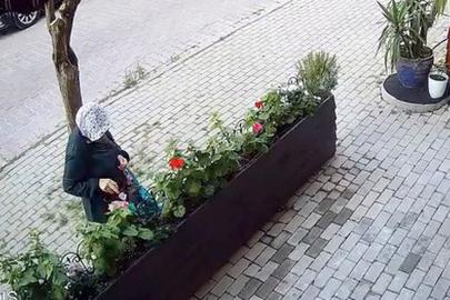 Avcılar'da iş yerinin önünde yetiştirilen çiçekleri söküp çaldı: 'Sabahın köründe şafak operasyonu gibi'
