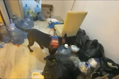 Aydın'da 5 ilçede uyuşturucu operasyonu: 4 tutuklama
