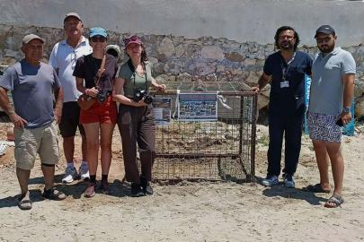 Aydın'da ilk caretta caretta yuvası Didim'de tespit edildi