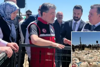 Bakanlıktan 1600 üreticiye 160 bin küçükbaş hayvan desteği