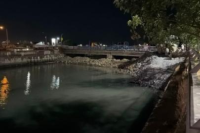 Bakırköy Çırpıcı Deresi'nde toplu balık ölümü