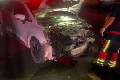Balıkesir'de otomobilin çarptığı 7 küçükbaş hayvan telef oldu