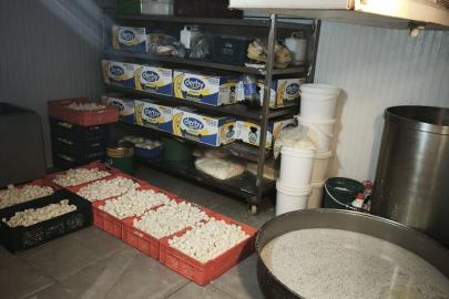 Başkentte 9 ton bozuk süt ve süt ürünü ele geçirildi