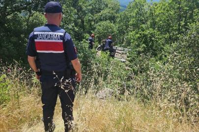 Bilecik'te devrilen otomobilin sürücüsü yaralandı