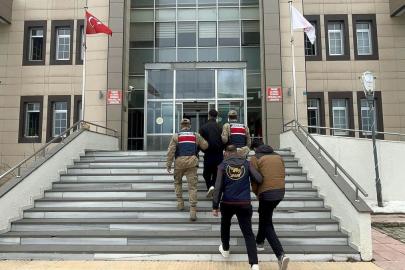 Bitlis'te 'göçmen kaçakçılığı'na 19 tutuklama