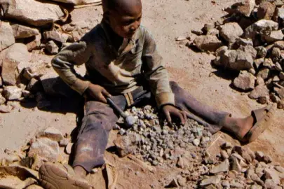 BM 138 milyon çocuk işçi olduğunu bildirdi: Dünya hedefine ulaşmaktan uzak