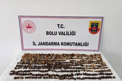 Bolu'da yabani salep toplayan 3 kişiye toplam 2 milyon lira ceza