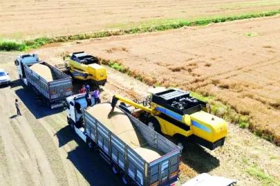 Buğday alım fiyatı 16 bin 500 lira