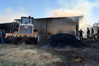 Bursa'da çiftlik yangınında 4 büyükbaş hayvan öldü