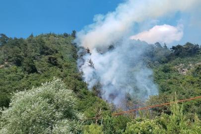 Bursa'da orman yangını