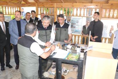 Bursa'da yanan ormanlar, Eskişehir'de üretilen fidanlarla yeşillenecek
