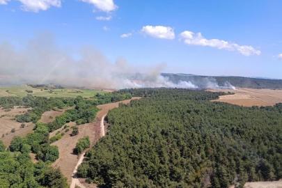 Çanakkale'de Tarım Arazisinde Çıkan Yangın Ormana Sıçradı