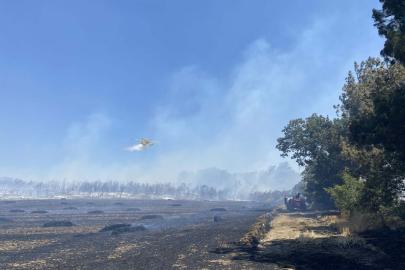 Çanakkale'de tarım arazisinde yangın