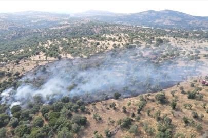 Çanakkale'de zirai arazi yangınına müdahale ediliyor