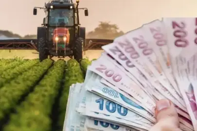 Çiftçilerin 165 milyon 522 bin liralık destek ödemeleri hesapta 