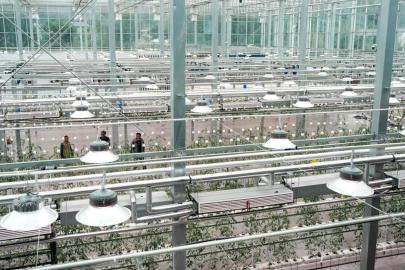 Çin, Tarımsal ve Kırsal Modernleşmeyi Hızlandırmaya Yönelik 5 Yıllık Plan Açıkladı