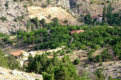 Cinayete kurban giden Aysel Yıldırım için 1600 rakımlı dağlık alanda arama