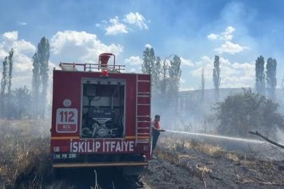 Çorum'da ekili arazi ve ağaçlık alanda yangın