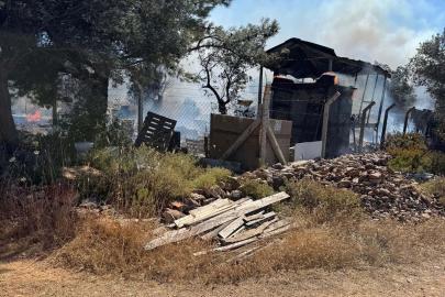 Cunda'da makilik alanda çıkan yangın ormanı yaktı