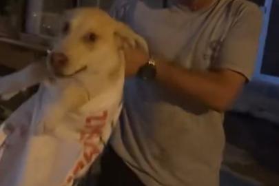 Çuvala koyulan köpeği, hayvansever kadın kurtardı