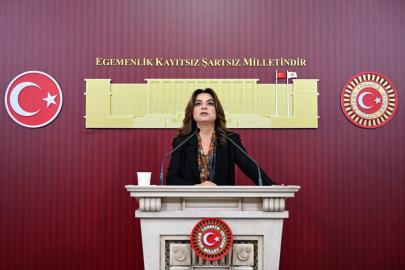 DEM Parti Grup Başkanvekili Koçyiğit gündemi değerlendirdi Açıklaması