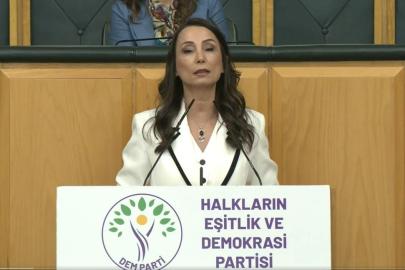 DEM Parti'li Hatimoğulları: Çerçeve yasanın acilen çıkması lazım