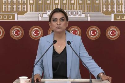 DEM Parti'li Koçyiğit: Barışın hukuksal bir güvenceye ihtiyacı var