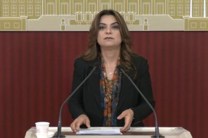 DEM Parti'li Koçyiğit: Çerçeve yasanın bir an önce TBMM'ye gelmesi gerekiyor