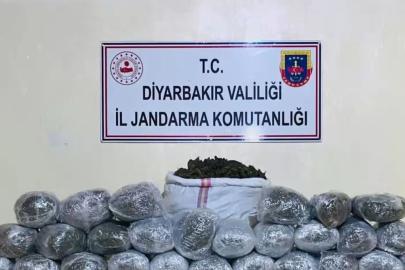 Diyarbakır'da 1 Milyon 755 Bin 212 Kök Kenevir ve Skunk Ele Geçirildi