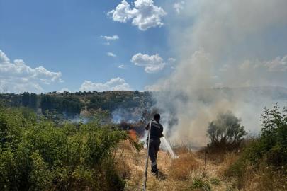 Diyarbakır'da ağaçlık alanda çıkan yangın söndürüldü
