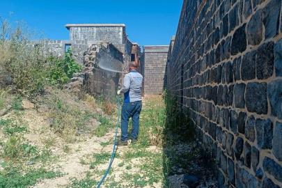 Diyarbakır'da akreplere karşı ilaçlama çalışması başlatıldı