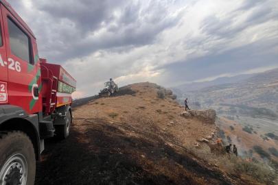 Diyarbakır'da çıkan anız ve orman yangınları söndürüldü