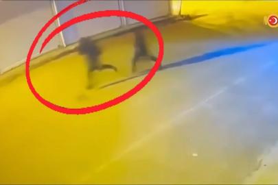 Diyarbakır'da çıkar amaçlı silahlı suç örgütüne operasyon: 15 tutuklama