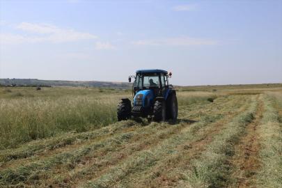 Edirne Tarım ve Orman Müdürlüğü ekipleri meralarda incelemede bulundu