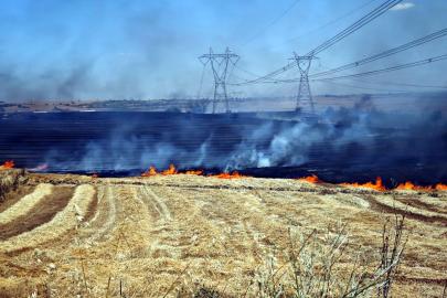 Edirne'de Anız Yangını: 500 Dekar Tarım Arazisi Zarar Gördü