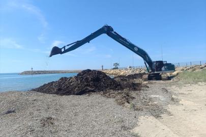 Edirne'de Sultaniçe sahilinde temizlik çalışması yapıldı